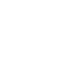Icone automobile